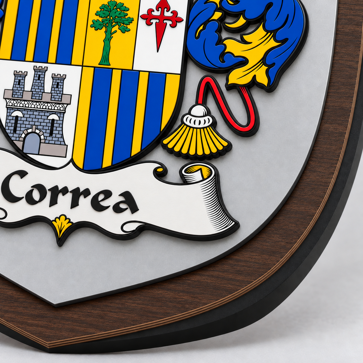 Correa — DETAIL